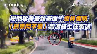 樹倒奪命最新畫面！退休運將「剎車閃不過」　普渡路上成冤魂