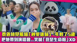 蔡依林見熊貓「秒變迷妹」：年輕了5歲　把牠帶到演唱會...笑喊「我是生命粉」XD