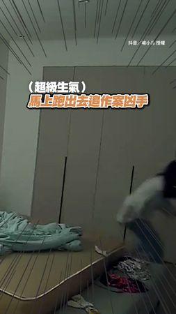 貓咪趁主人睡覺瞬移走位搞偷襲！