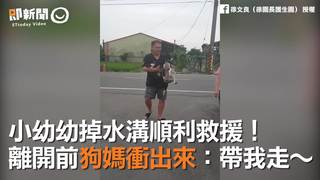 小幼幼掉水溝順利救援！離開前狗媽衝出來：帶我走～
