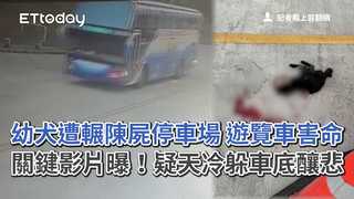 幼犬遭輾陳屍停車場　遊覽車害命關鍵影片曝！疑天冷躲車底釀悲