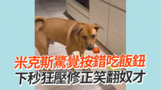 米克斯驚覺按錯吃飯鈕　下秒狂壓修正笑翻奴才