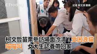 柯文哲苗栗參訪場面冷清！受困浪貓喵喵叫　女大生認養帶回家