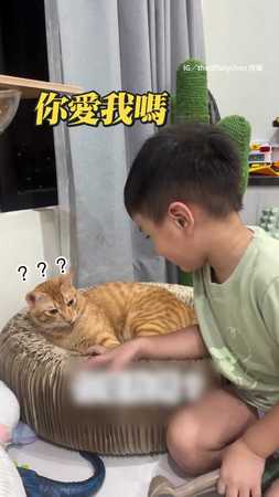 【窒息的愛】萌弟狂問貓：你愛我嗎♥