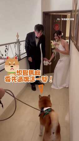 【新郎大戰柴柴】最萌婚禮闖關　柴︰要娶馬麻先打敗偶！