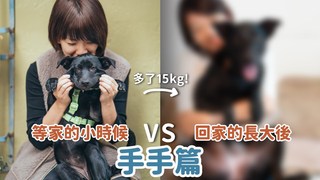 浪浪別哭-等家的小時候V.S回家的長大後-手手篇