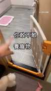 【崩潰日常】1狗1小孩同時養 每天像上戰場：我要瘋了