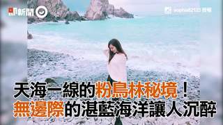 天海一線的粉鳥林秘境！　 無邊際的湛藍海洋讓人沉醉