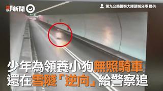 少年為領養小狗無照騎車　還在雪隧「逆向」給警察追