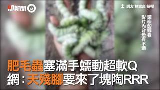 肥毛蟲塞滿手蠕動超軟Q　網：天殘腳要來了塊陶RRR