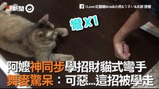 阿嬤神同步學招財貓式彎手　舞麥驚呆：可惡...這招被學走