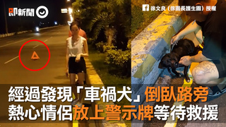 經過發現「車禍犬」倒臥路旁　熱心情侶放上警示牌等待救援
