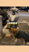 【拾荒柴柴挖到寶】  迫不及待回家的樣子超可愛~