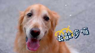 北市觀傳宣傳片-友善動物篇