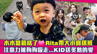 木木當葛格了❤Rita帶大小寶探班　注意力被狗狗吸走...KID送炙熱的愛