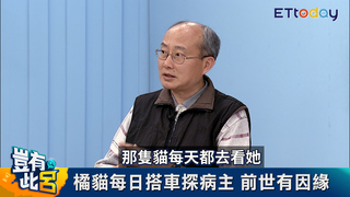 靈性橘貓每天搭車到醫院探主人 通靈人揭13年的前世今生因緣牽絆｜豈有此呂 EP213預告