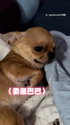 委屈吉了〒︿〒被抓包偷玩具直泛淚XDD