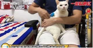20170630一起窺網紅-寵物界網美豆漿現身