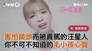 害怕竟頭而被責罵的汪星人　你不可不知道的毛小孩心聲