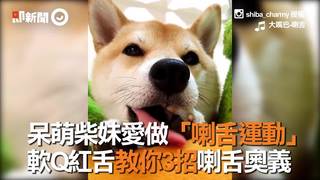 呆萌柴妹愛做「喇舌運動」　軟Q紅舌教你3招喇舌奧義