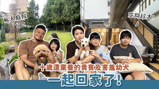 浪浪別哭-十歲遭棄的貴賓犬及害羞幼犬一起回家了！｜浪浪到家了