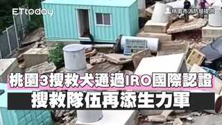 桃園3搜救犬通過IRO國際認證 搜救隊伍再添生力軍