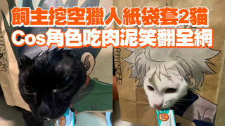 飼主挖空獵人紙袋套2貓　Cos角色吃肉泥笑翻全網