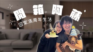 浪浪別哭-開箱阿藤回家滿周年生活！