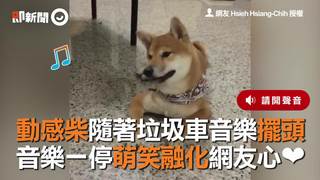 動感柴隨著垃圾車音樂擺頭　音樂一停萌笑融化網友心
