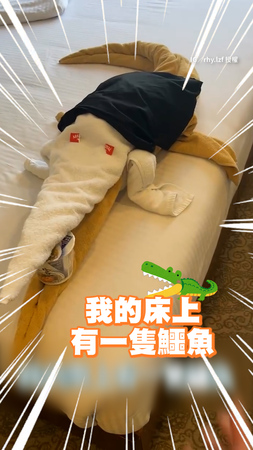 【埃及旅遊都市傳說】搭埃及河輪床頭留小費 回來見「毛巾鱷魚」！