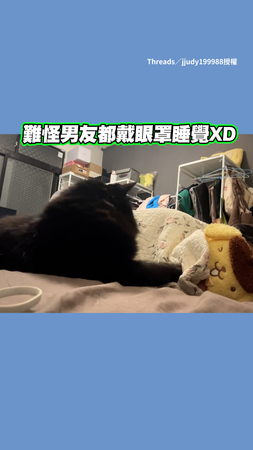 為何男友要戴眼罩睡覺？奴才直到被貓吵醒才明白...