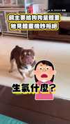 【體重焦慮？】飼主要給狗狗量體重　牠見體重機秒拒絕
