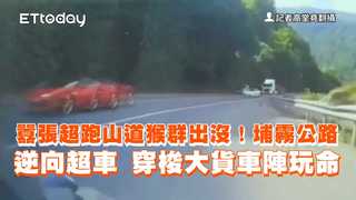 囂張超跑山道猴群出沒！埔霧公路逆向超車　穿梭大貨車陣玩命