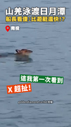 【游比船還快】山羌橫渡日月潭全場看傻！船長直呼沒見過