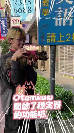 【穩定器喵】散步時看到鳥太專注XD