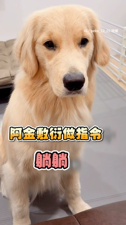 【可以吃肉肉了嗎？】阿金急吃零食敷衍做指令 媽超傻眼XD
