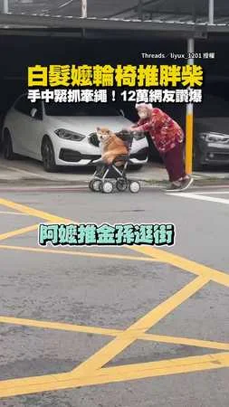 【專屬健身教練】白髮嬤輪椅推胖柴孫　手中不忘緊抓牽繩