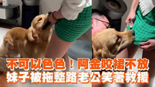 不可以色色！阿金咬裙不放　妹子被拖整路老公笑著救援
