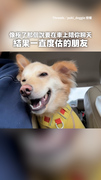 【眼皮好重】米克斯坐車狂度估　捨不得睡硬撐陪爸媽