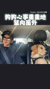 【像極了跟男友吵架】狗狗坐副駕望窗外思考狗生　表情超可愛XD