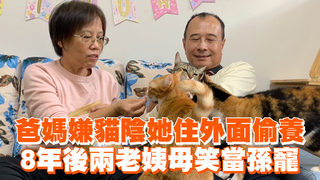 爸媽嫌貓陰她住外面偷養　8年後兩老姨母笑當孫寵