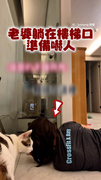 【魂差點沒了】老婆趴樓梯口嚇人　老公嚇到大叫差點摔下去XD