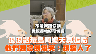 浪浪遇環島阿嬤天真追隨　他們聽發展爆笑：跟錯人了