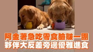 阿金著急吃零食臉皺一團　夥伴大反差旁邊優雅進食