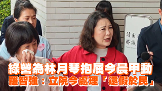 綠營為林月琴抱屈今晨甲動　羅智強：立院今處理「還假於民」