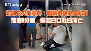 澎湖花火節意外！臘腸狗搭船未繫繩落海9分鐘　撈起已口吐白沫亡
