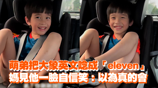萌弟把大象英文唸成「eleven」　媽見他一臉自信笑：以為真的會