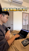 【小奶貓討抱抱】爸爸抱貓咪工作效率降低，但心靈感覺非常滿足XD