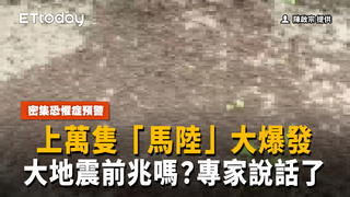 大地震前兆？果園上萬隻「馬陸」大爆發