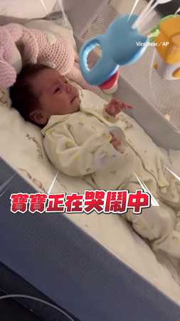 【這我可不哄】嬰兒哭鬧狗叔在旁眼神滿滿無奈